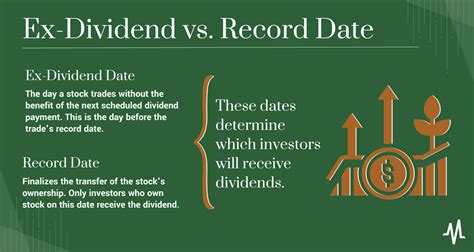 ytsl ex dividend date.